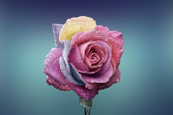 Кайлі Дженнер показала, як буде приводити себе у форму після пологів Кайлі Дженнер показала, як буде приводити себе у форму після пологів